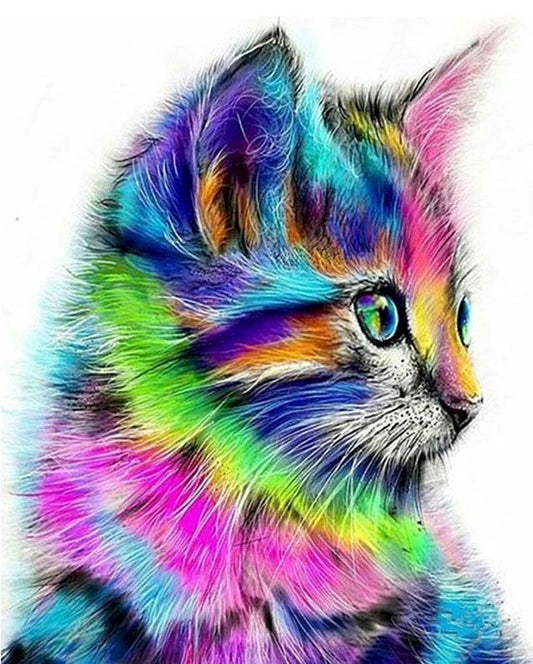 Gatito Multicolor