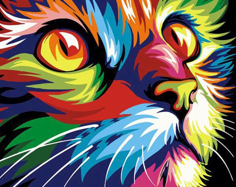 Ojos de Gato