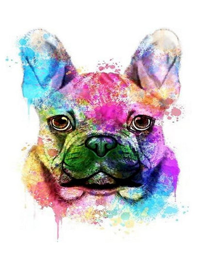 Bulldog Multicolor