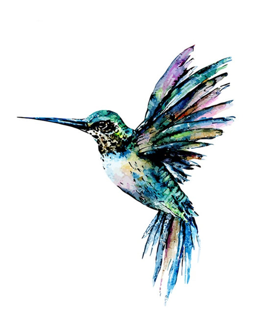 Colibri