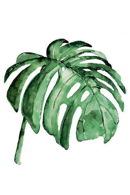 Set Hojas de Plantas (3 unidades)