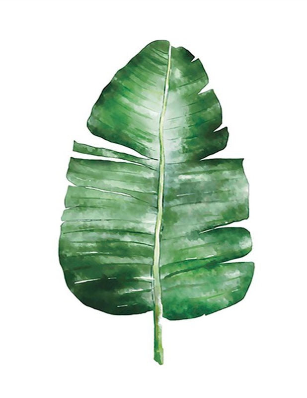 Set Hojas de Plantas (3 unidades)