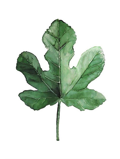 Set Hojas de Plantas (3 unidades)