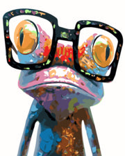 Rana Intelectual