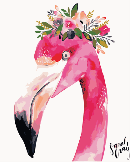 Bonito Flamingo