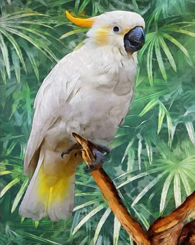 Guacamaya Blanca