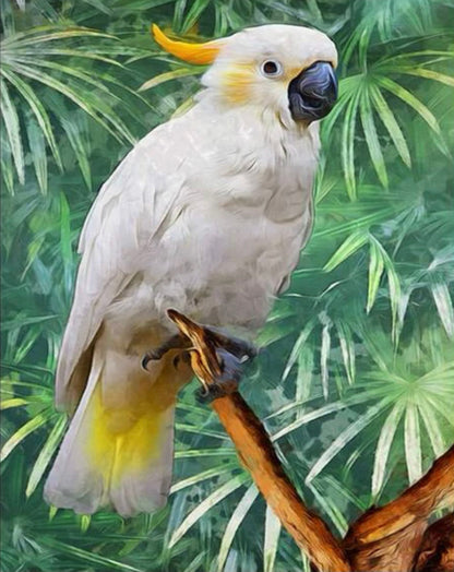 Guacamaya Blanca