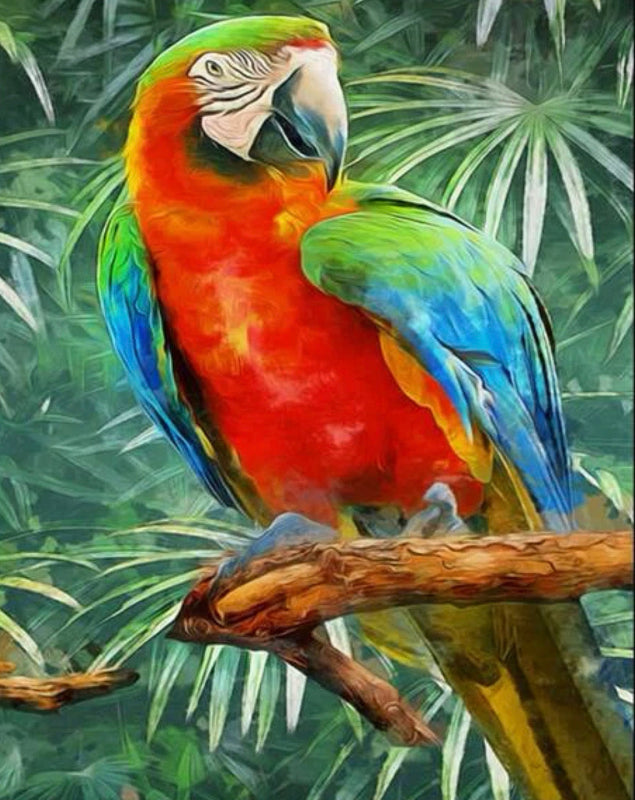 Guacamaya