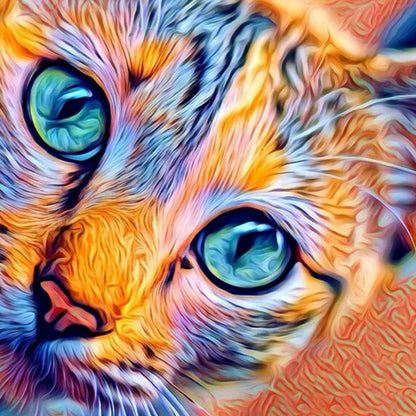 Cat Zoom