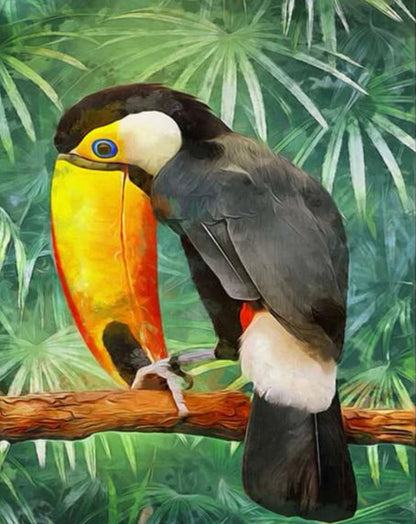 Tucan