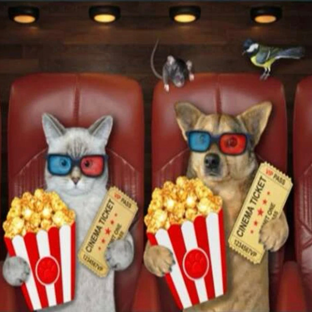 Amigos y Películas