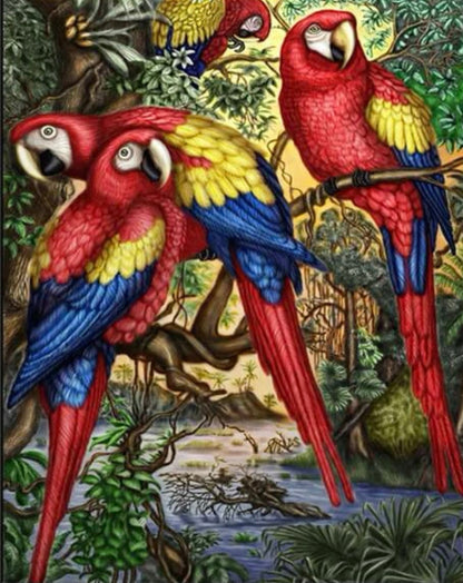 Loros Colombianos