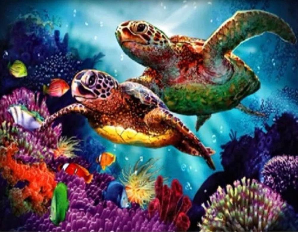 Tortugas