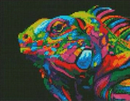 Iguana Multicolor