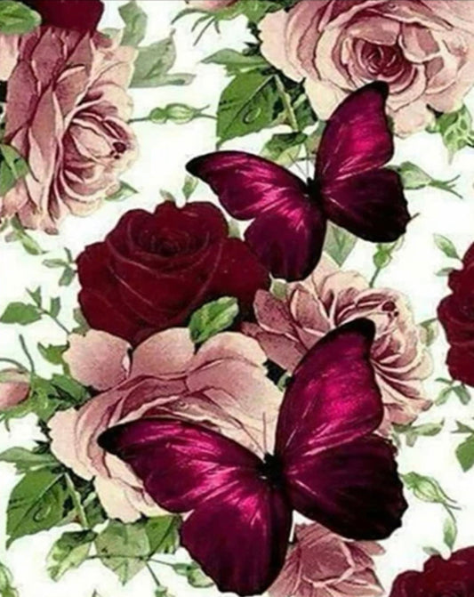 Mariposa Burgundy