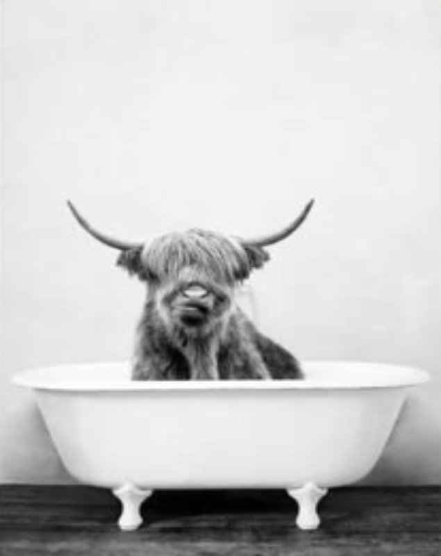 El Buey en la Bañera