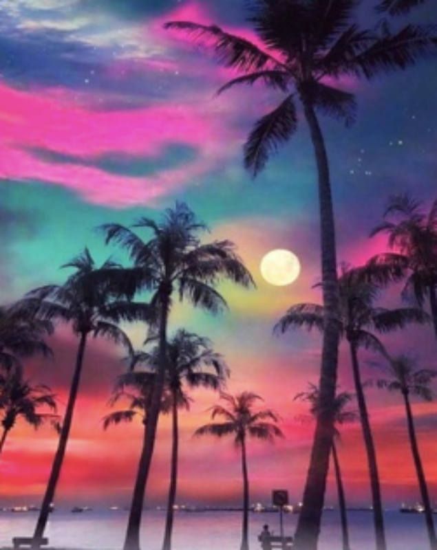 Palmas en Sunset